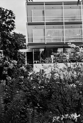 EE_137_N_0161