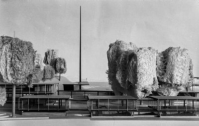 EE_137_N_0182