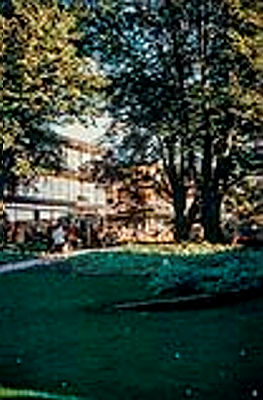 EE_137_P_0003